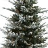 Pre_lit_Artificial_Christmas_Tree_08_Snow_02